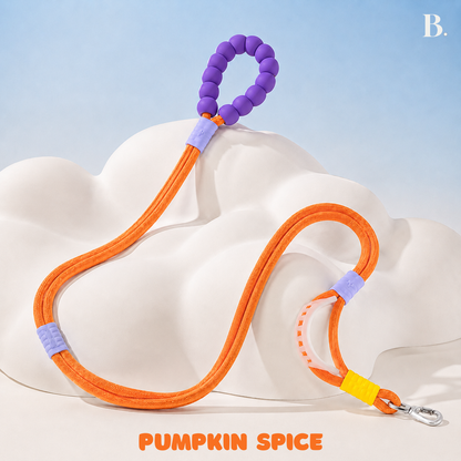 Cloude Leash 2.0