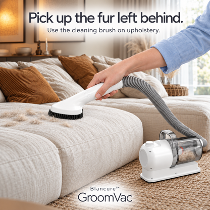 GroomVac: Groom, Trim & Vacuum Up the Fur Before It Hits Your Floor