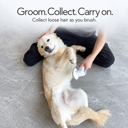 GroomVac Pet Grooming Essentials