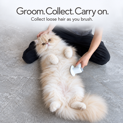 GroomVac: Groom, Trim & Vacuum Up the Fur Before It Hits Your Floor